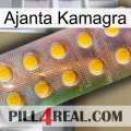 Ajanta Kamagra new11